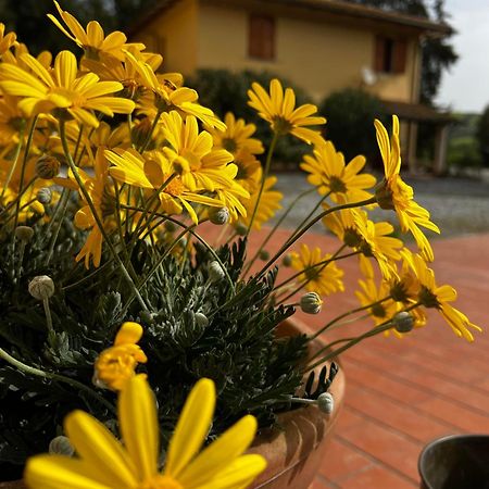 Agriturismo La Cerbana Palaia Exteriér fotografie