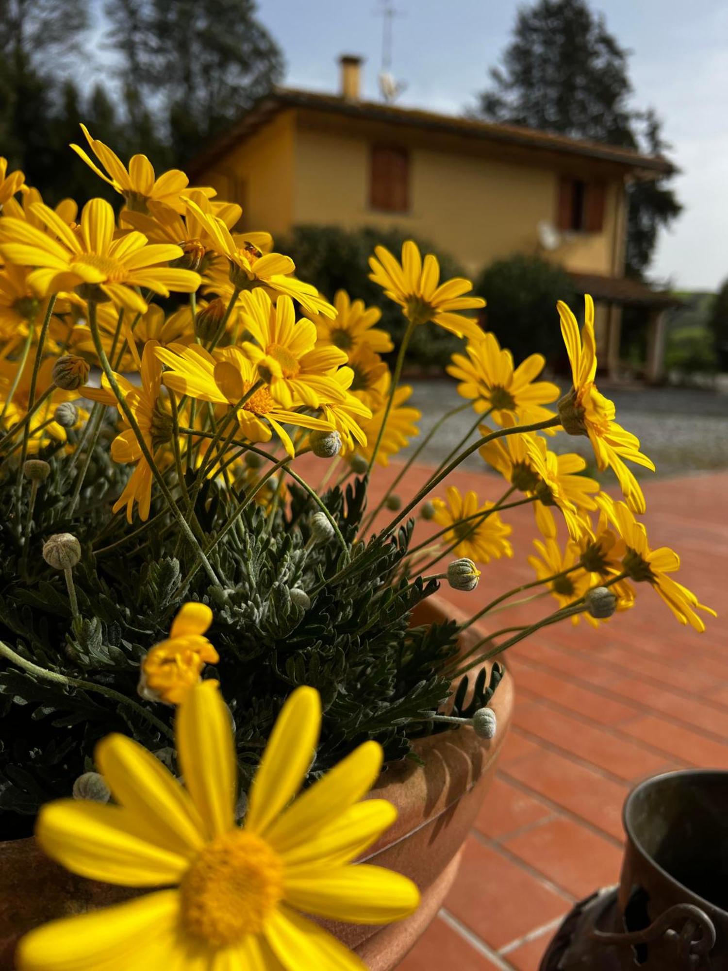 Agriturismo La Cerbana Palaia Exteriér fotografie